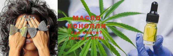 гидра Вяземский
