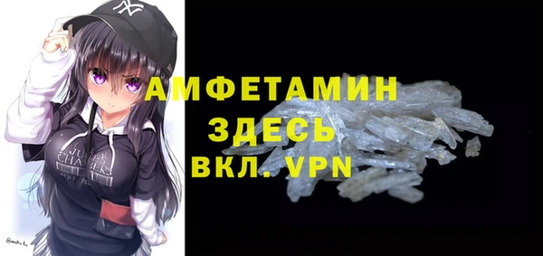гидра Вяземский