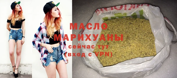 гидра Вяземский