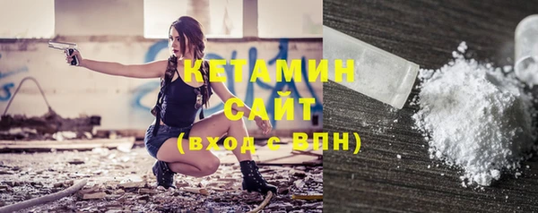гидра Вяземский