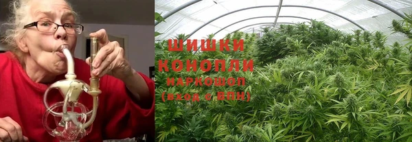 гидра Вяземский