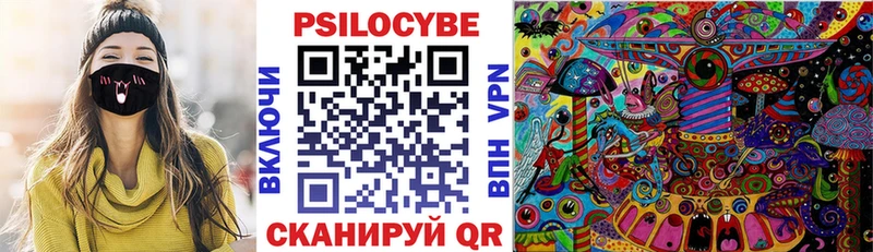 Купить где  Медынь  Галлюциногенные грибы прущие грибы 